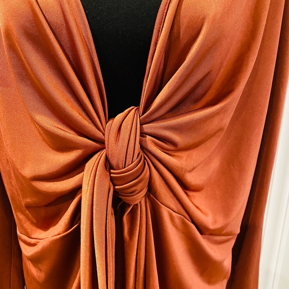 Rust Colored Blouse - Picture 2 of 3